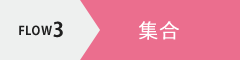 FLOW3 集合